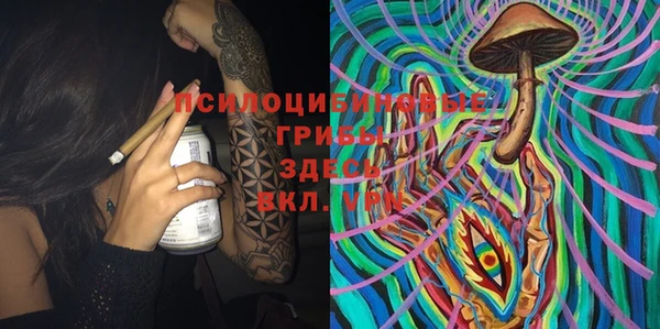 apvp Покачи