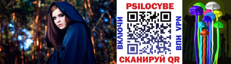 блэк спрут tor хочу наркоту Вязьма Галлюциногенные грибы прущие грибы